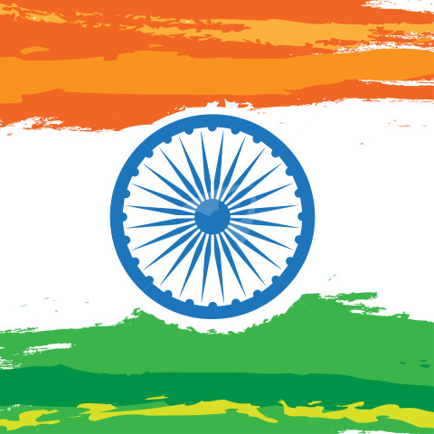 Indian Flag dp