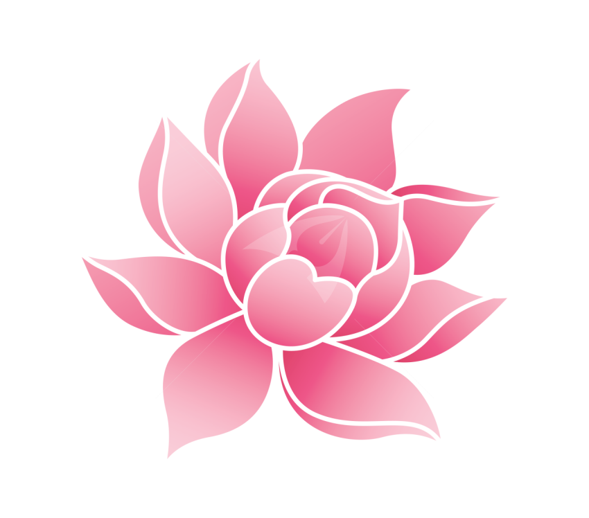 Lotus Flower Vector Illustration