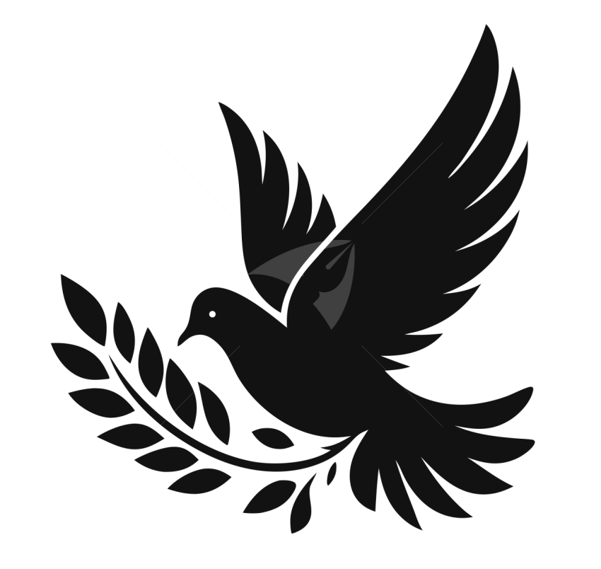 Flying Dove Silhouette Illustration