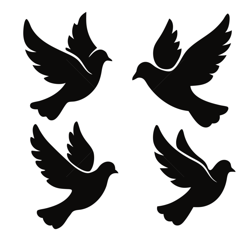 Flying Doves Silhouette Illustration