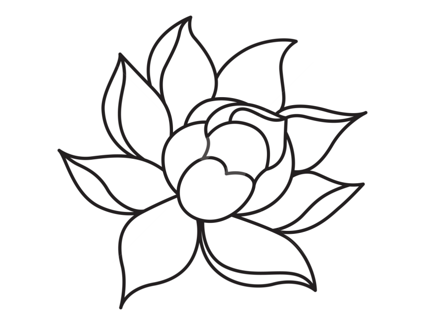 Lotus Line Art Vector png