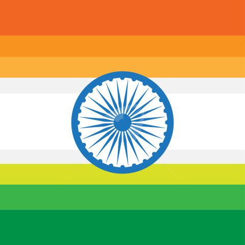 Indian Flag dp