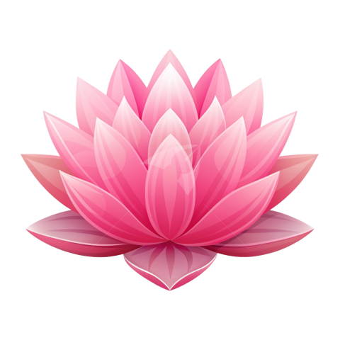 Lotus Flower Vector Png