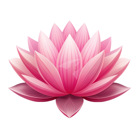 Lotus Flower Vector Png