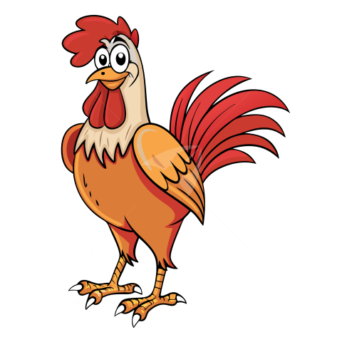 Big red rooster vector image